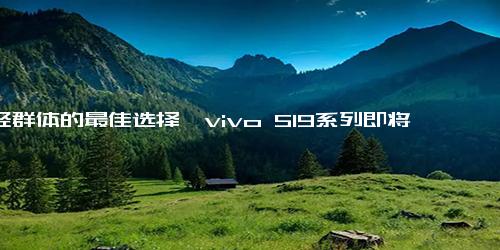 年轻群体的最佳选择—vivo S19系列即将发布 美出东方 华丽绽放